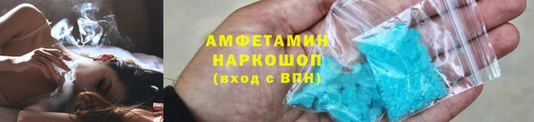 прущие грибы Богданович
