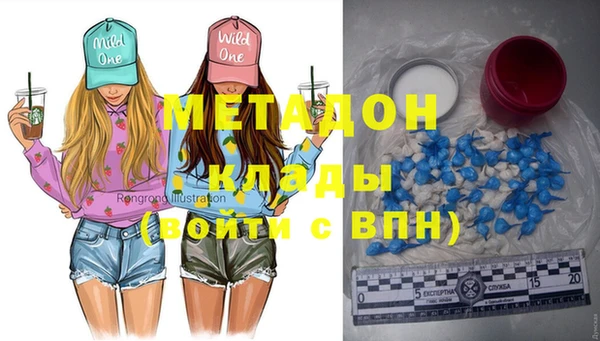 прущие грибы Богданович
