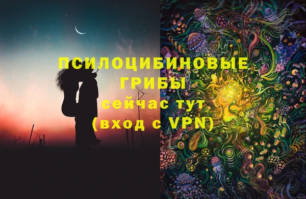 COCAINE Богородск
