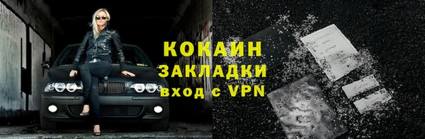 прущие грибы Богданович