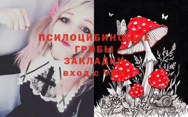 соль курить ск Бородино