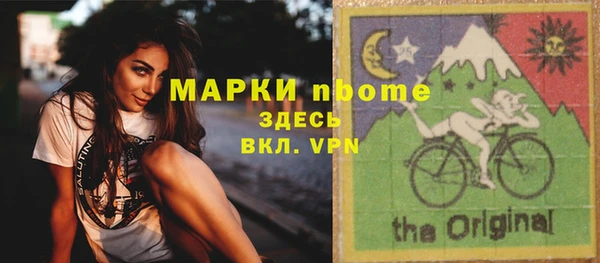 прущие грибы Богданович